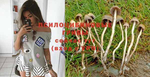 молекула духа Балахна